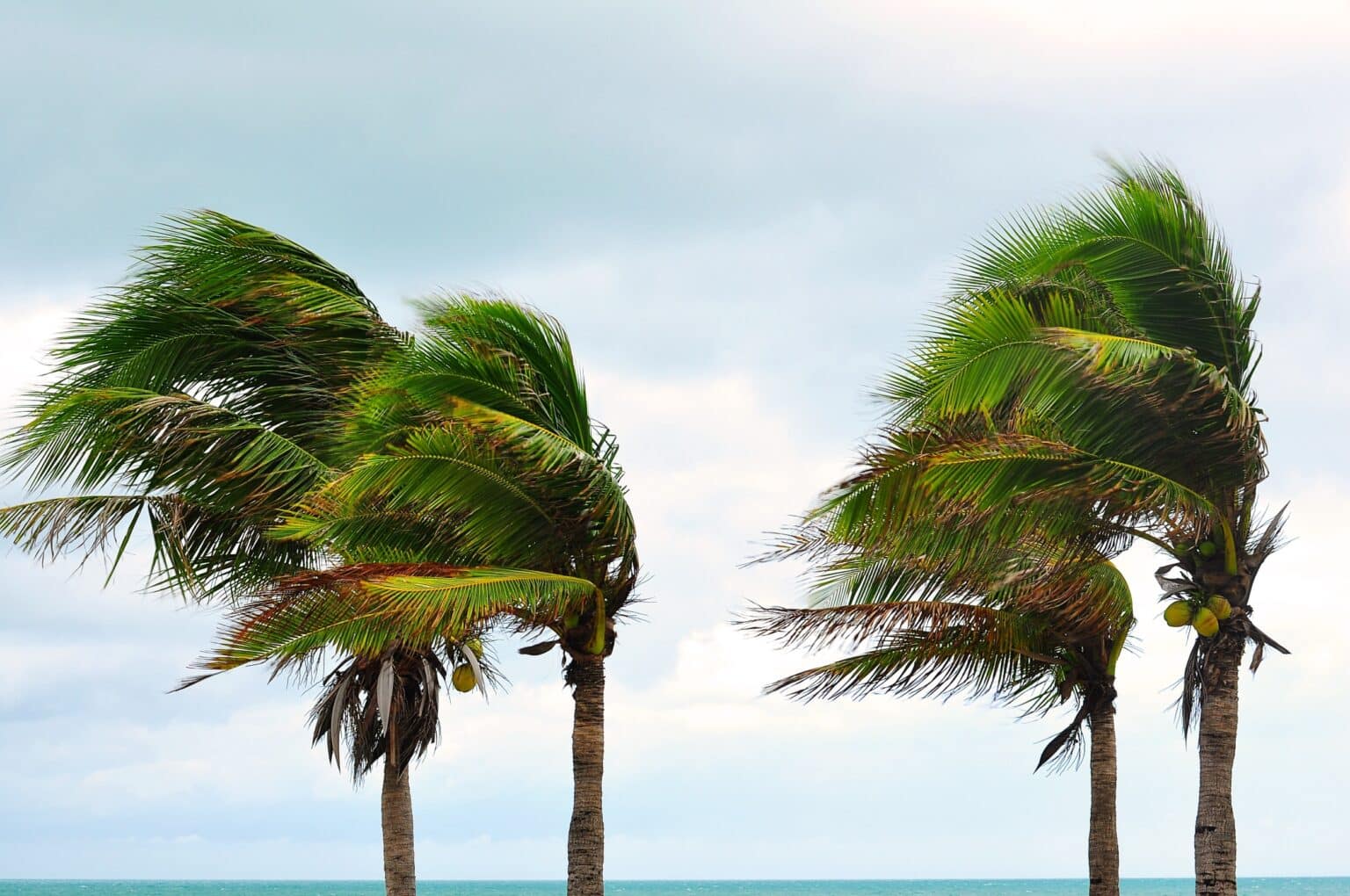 The Stages of a Hurricane | Rack Electric